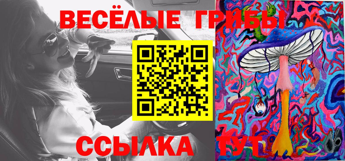 Псилоцибиновые грибы Psilocybine cubensis Нерюнгри