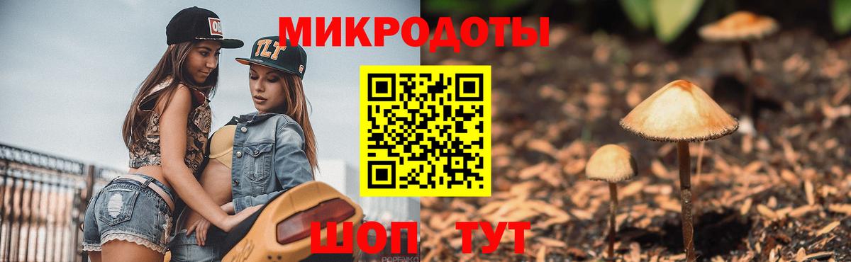 Нерюнгри  Псилоцибиновые грибы GOLDEN TEACHER  Вход с VPN 